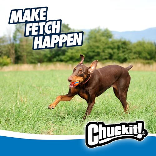 Chuckit! Ultra Ball Dog Toy - Size Large - For Dogs 60-100 lbs - Made from Durable Rubber - Super Bouncy - Floats in Water - 3-inch Diameter - Pack of 1