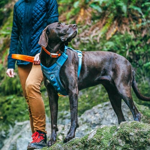 Kurgo Journey Air Dog Harness - Secure Fit for Active Dogs - Padded Chest - Lightweight Ripstop Fabric - Breathable Mesh - Reflective Trim - Back Assist Handle - Coral - Large