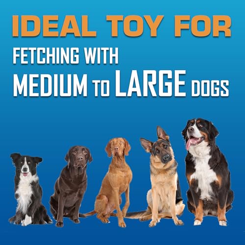 Nerf Dog Tire Flyer Dog Toy Gift Set, 10 Inch Flying Disc Dog Fetch Toys, Rubber Dog Toy for Medium Dogs and Large Dogs, Red, Translucent Green and Translucent Blue, 3 Count