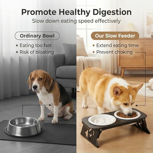 Elevated Ceramic Slow Feeder Bowls, 2 Bowls & Black Stainless Steel Stand,for Cats and Small Medium Dogs, 1.5 Cups*2,Raised Cat Food and Water Bowl Set, Blue & White