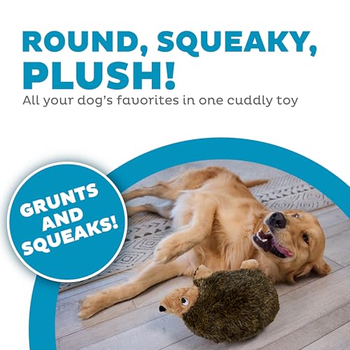 Outward Hound Hedgehogz Stuffed Dog Toy – Soft Plush Hedgehog, Grunts & Squeaks, Large, 12" x 6" x 7"