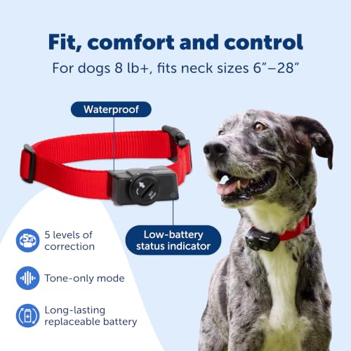 PetSafe Original Wireless Electric Fence for Dogs, Portable for Travel Covers Up to 1/2 Acre, Waterproof Collar for Pets 8lb+ with Tone/Static (Gray), from the Parent Company of Invisible Fence Brand