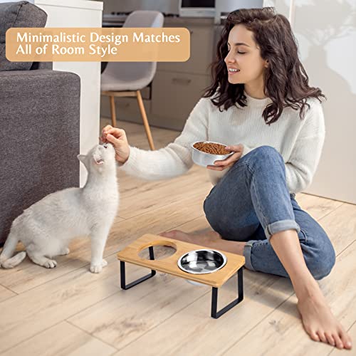 Cat Food Bowl for Indoor Cats - Elevated Stainless Steel Water Bowl, Tilted Raised Kitten Dish Set for Whisker Friendly and Anti Vomit, Feeding Station for Puppy and Pet