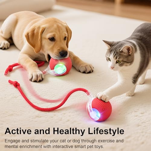 Smart Interactive Automatic Electric Rolling Moving Rechargeable Motion Activated Self Solo Play Electronic Stimulation Chase Teaser Ball Toy with Rope for Indoor Bored Adult Cat and Dog, Red