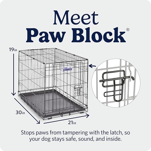 MidWest Homes for Pets 30-Inch iCrate for Medium Breeds, 21-40 lbs, Single Door Folding Dog Crate with Divider Panel, Leak-Proof Tray & Secure Latch, Portable, Durable & Easy to Assemble