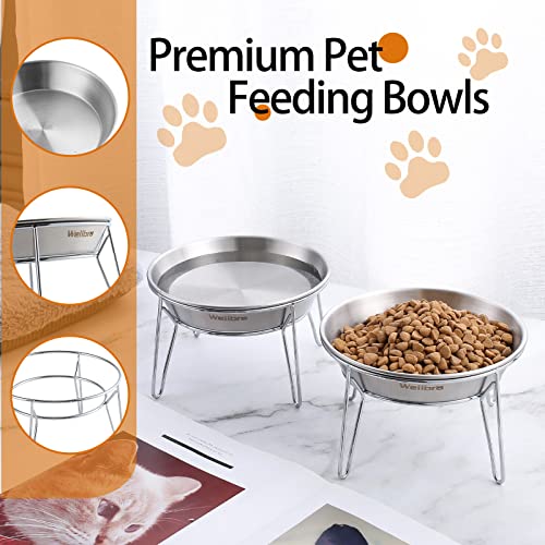 Wellbro Elevated Cat Bowls, 5.9 Inch Wide Stainless Steel Cat Food Bowls with Metal Stand Whisker Stress-Free, Raised Food and Water Dish for Cats, Kitten, Puppies and Small Dogs-2 Pack