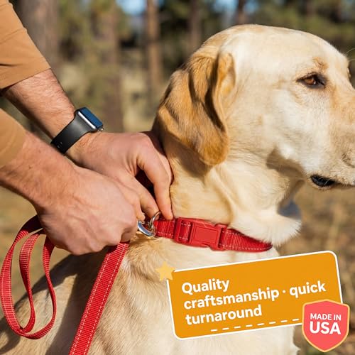PAWBLEFY Personalized Dog Collars - Reflective Nylon Collar Customized with Name and Phone Number Adjustable Sizes for Small Dogs, Medium, Large 4 Colors Male Female boy Girl Puppies