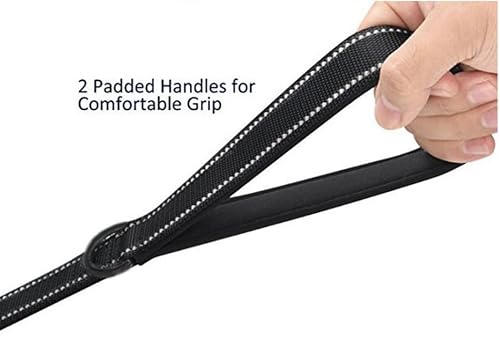 Heavy Duty Dog Leash - 2 Handles by Padded Traffic Handle for Extra Control, 6foot Long - Perfect for Medium to Large Dogs (6 ft, Black)