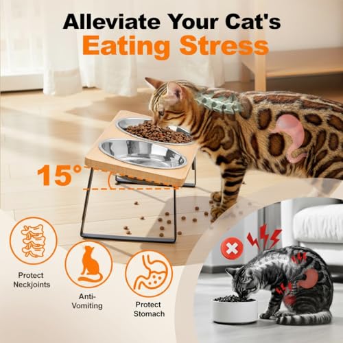 Cat Food Bowl for Indoor Cats - Elevated Stainless Steel Water Bowl, Tilted Raised Kitten Dish Set for Whisker Friendly and Anti Vomit, Feeding Station for Puppy and Pet
