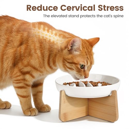 PETTOM Slow Feeder Cat Bowl Elevated Ceramic with Bamboo Stand, Raised Pet Puzzle Dishes for Indoor Cats Small Dog, Anti Vomit Cat Bowl for Wet & Dry Food