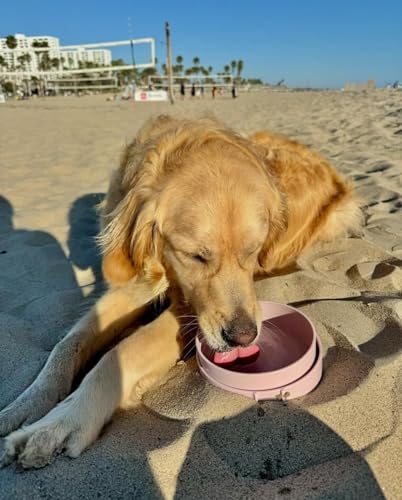 Barkin’ Trails Travel Dog Bowls, Portable Outdoor Water, BPA-Free Water Bowl Set, Food Grade Plastic Dog Travel Bowl, Dog Camping Essentials, Travel Container