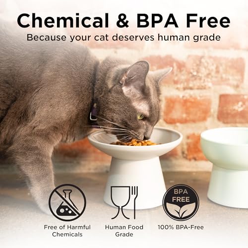 Necoichi 2pcs Extra-Wide Elevated Cat Food Bowls – BPA-Free Plastic Raised Bowls to Reduce Whisker & Neck Fatigue – Dishwasher Safe – Non-Slip, Anti-Vomiting Ergonomic Design(Classic)