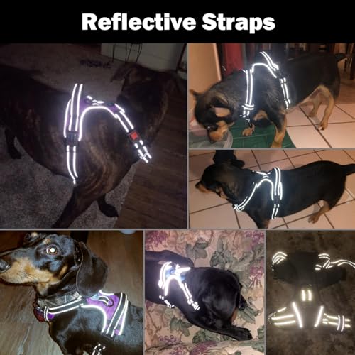 PHOEPET Reflective Dog Harness Large Breed Adjustable No Pull Vest with with Handle 2 Metal Rings 3 Buckles [Easy to Put on & Take Off](L, Orange)