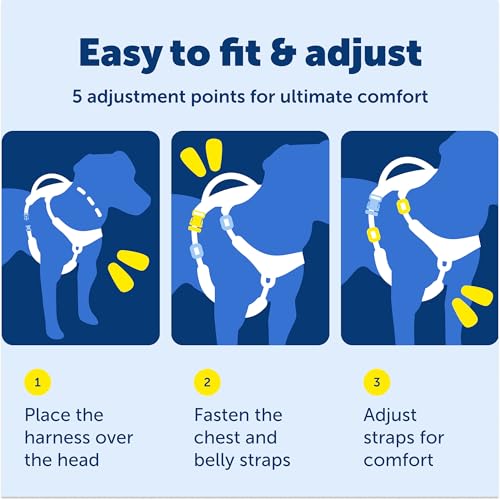 PetSafe Easy Walk Comfort No-Pull Dog Harness Full-Body Padding - Better Walks on the First Use - 5 Points of Adjustment Medium, Pink