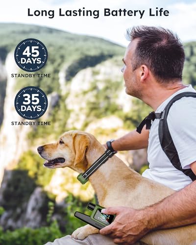 Dog Shock Collar 2 Dogs (10-120Lbs) - 4200FT Dog Training Collar with Remote IPX7 Waterproof Electric Collar with 4 Training Modes, Security Lock, Rechargeable e-Collar for All Breeds, Sizes