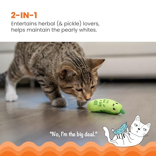 Catstages Crunchy Pickle Kicker Cat Toy – Plush Crinkle Toy with Catnip and Dental Mesh, 6.5"