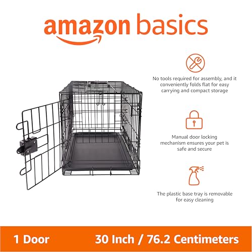 Amazon Basics Portable, Foldable Metal Wire Dog Crate with Removable Tray, Single Door, Divider Panel, Quick Setup, 30 x 19 x 21 in, Black