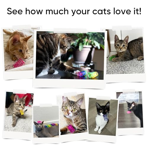 AGYM Cat Toys for Indoor Cats, 30 Pack Interactive Cat Spring Toys, Durable Colorful Plastic Spiral Springs for Kitten Hunt, Swat and Bite, Bulk Cat Toys