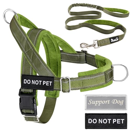 Lukovee No Pull Dog Harness and Leash Set - Adjustable Soft Padded Vest with Front Clip for Easy Control, Reflective Durable Harness for Safe Daily Training Walking for Medium Large Dogs (L, Green)