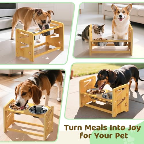 CozyLazy Elevated Dog Bowls, Adjustable Raised Dog Bowl Stand for Medium and Small Dog, 11" High Bamboo Pet Food Feeder with 2 Stainless Steel Dishes（4 Heights）