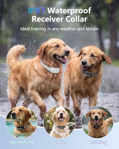 PATPET Shock Collar for Dogs(10-120lbs), 4000ft Rechargeable IPX7 Waterproof Training Collar with Remote for 2 Dogs- Electric Dog Collar for Small Medium Large Dogs 2 Packs
