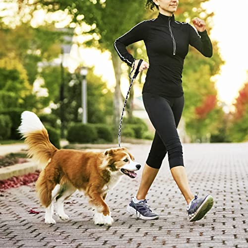 LUFFWELL Heavy Duty Metal Dog Chain Leash with Comfortable PU Leather Padded Handle, Chew Proof for Medium Large Pooch Walking Training (6FT 3.5mm Black)