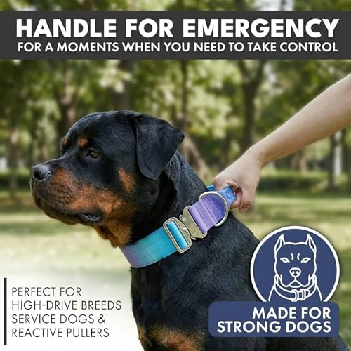 Spark Paws Tactical Dog Collar - Heavy Duty, Premium Quality, Thick and Durable for Large and Medium Dogs - 90's Retro - L