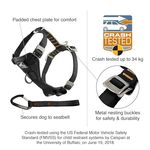 Kurgo Enhanced Strength Tru-Fit Dog Car Harness - Pet Travel Safety Harness - Crash Test Certified Fit - Five Point Adjustment - Secure Buckle - Padded Chest - Black - Medium