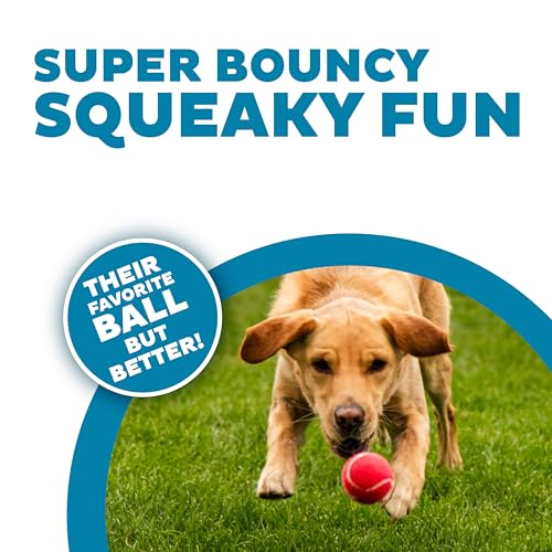 Outward Hound Squeaker Ballz – Squeaky Tennis Balls for Dogs Under 50 lbs, Interactive Dog Toy for Fetch & Training, Medium (2.5"), 4‑Pack