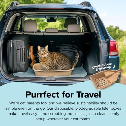 Kitty Sift Disposable Cat Litter Box Large, 6 Count, Durable Portable for Travel and Home, Eco-Friendly Disposable Litter Box Controls Odor