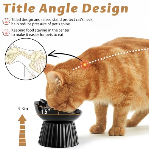 Wellbro Ceramic Raised Cat Bowl，Tilted Raised Bowl Anti Vomit Bowls for Indoor Cats Whisker Friendly Pet Feeder for Cats Puppies, Microwave and Dishwasher Safe