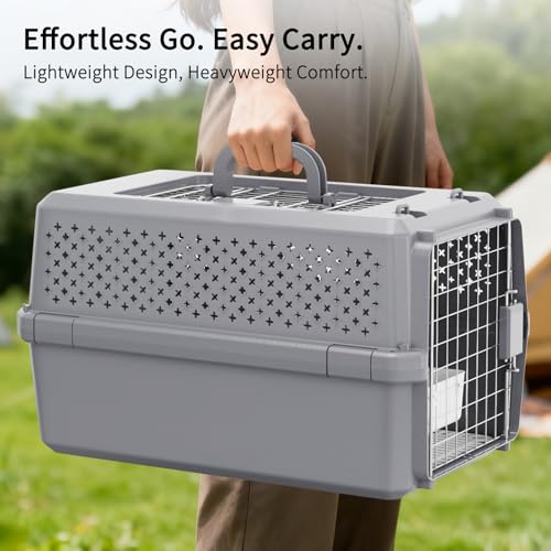 RIZZARI Pets Spree Hard-Sided Pet Travel Carrier, Portable Crate for Medium Dogs and Cats, Durable Plastic Carrier with Metal Door and Ventilation, Ideal for Air Travel, Trips and Outdoor Use