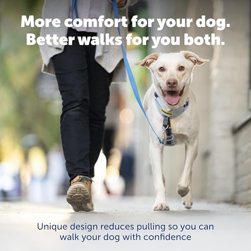 PetSafe Easy Walk Comfort No-Pull Dog Harness Full-Body Padding - Better Walks on the First Use - 5 Points of Adjustment Medium, Pink