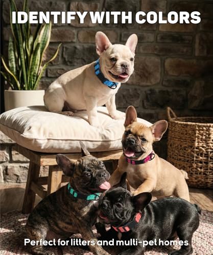 TagME Dog Collars for Small Dogs, Reflective Nylon Pet Collar with Quick Release Buckle, Small Dog Collar for Boys, Sky Blue, 3/8" Width