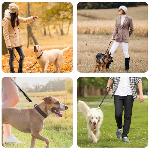 LIEVUIKEN Dog Leash 4ft Long, Double Handle Dog Leash for Safety Control Training, Heavy Duty Dogs Leads with Traffic Padded Handles, Reflective Leashes for Small Medium Large Dogs(4ft, Black)