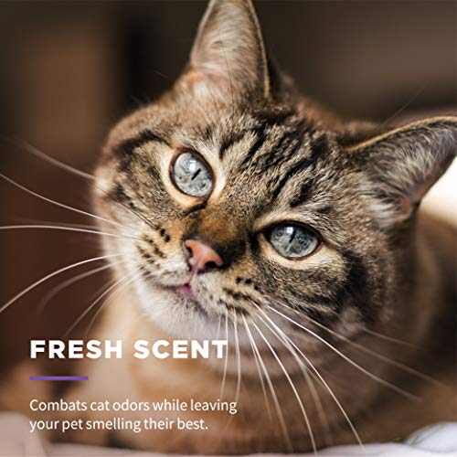 Wet Ones for Cats Freshening Wipes, Multi-Purpose Cat Grooming Wipes with Aloe Vera, Helps Remove Dirt, Odor, and Dander Between Baths, Fresh Scent, 50 Count