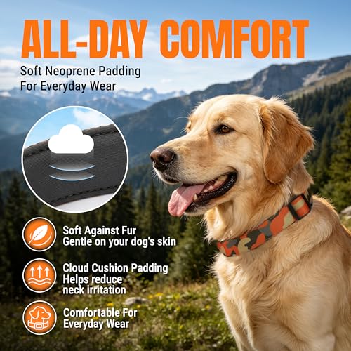 JC HOUSE Soft Padded Dog Collar, Neck 12’’-20’’, Adjustable Heavy Duty Collar with 3M Reflective Logo for Medium, Large Dogs, Camo Orange, M