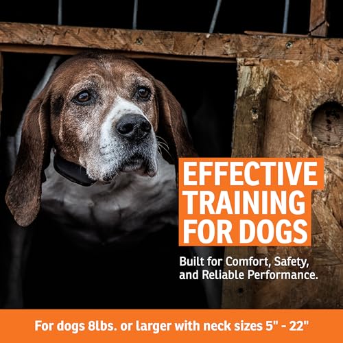 SportDOG NoBark 10 Bark Control Collar - Silent Partner Technology Detects Only Your Dog's Bark, 10 Static Levels, 2 Training Modes, Rechargeable 200-Hr Battery, Waterproof, Dogs 8 lb+