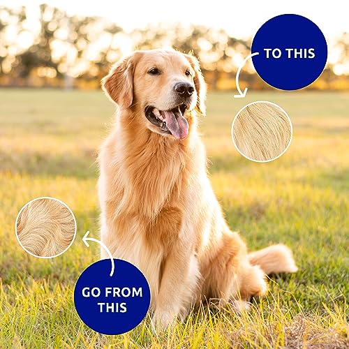 Pat Your Pet Deshedding Dog Brush For Shedding – Cat Brushes For Indoor Cats, Double-Sided Cat Brush Deshedding & Grooming Tool For Long Haired And Short Haired Dogs, Skin-Friendly