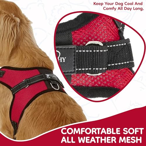 Copatchy No Pull Reflective Adjustable Dog Harness with Handle- Comfortable Soft All Weather Mesh, Easy On Puppy Harness for Small Medium and Large Dogs (Red) Small