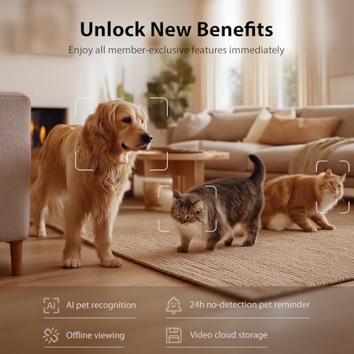 IMIPAW Automatic Cat Feeder with Camera and Water Fountain, HD AI Pet Recognition, APP Remote Control, Timed Food Dispenser, Two-Way Audio, Night Vision Function, 3L Fountains for Drinking with Filter