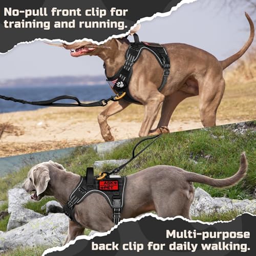 rabbitgoo Tactical Dog Harness for Large Dogs, No Pull Military Service Vest with Handle & Molle, Easy Control for Training Walking, Adjustable Reflective Straps, Black, L