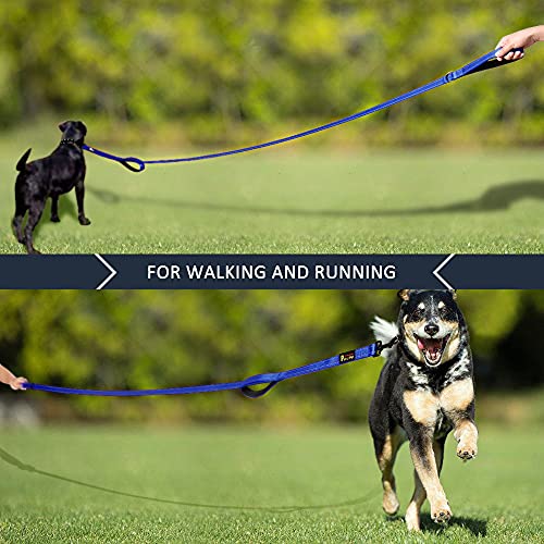 Plutus Pet Dog Leash 6ft Long,Traffic Padded Two Handle,Heavy Duty,Reflective Double Handles Lead for Control Safety Training,Leashes for Large Dogs or Medium Dogs,Dual Handles Leads(Navy Blue)