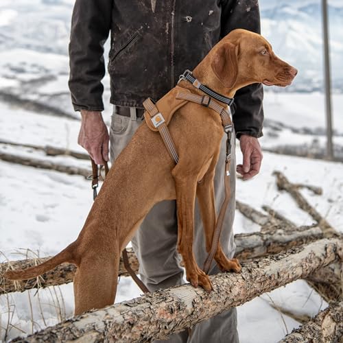 Carhartt Nylon Duck No Pull Dog Harness, Fully Adjustable Dog Harness with Quick Control Handle and Reflective Accents, Carhartt Brown, Small