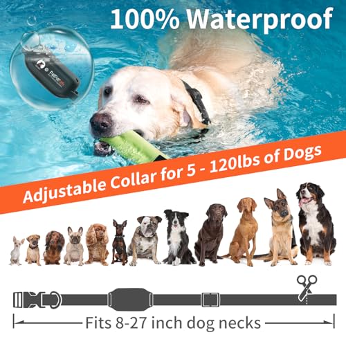 PaiPaitek Dog Vibration Collar with Controller for 2 Dogs No Shock, 9 Types of Beeps and Vibrations, 3300ft Range & Upgraded Waterproof Training Collar for Dogs 5-120lbs - No Prongs
