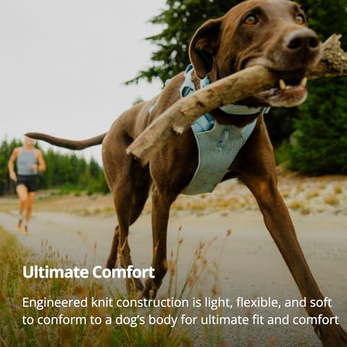 Ruffwear, Front Range Flex Dog Harness, Engineered Knit Construction for Ultimate Fit and Mobility, Lightweight Flexible Everyday Harness with Dual Leash Clips, Rose Violet, Medium