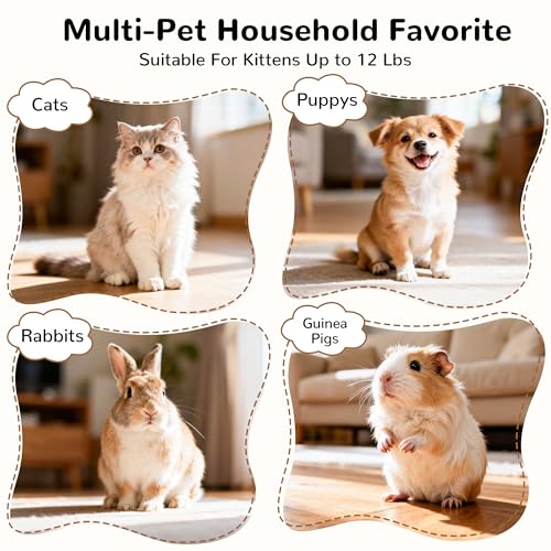 Tempcore Pet Cat Tunnel Tube Cat Toys 3 Way Collapsible, Tunnels for Indoor Cats，Kitty Bored Peek Hole Toy Ball Cat, Puppy, Kitty, Kitten, Rabbit