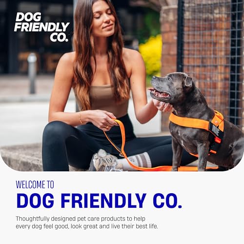 Dog Friendly Co. Dog Harness | Chafe Resistant Webbing, Adjustable Neck & Chest, and Heavy Duty D-Ring | Sturdy, Comfortable, Easy to Use | Pink, Size L
