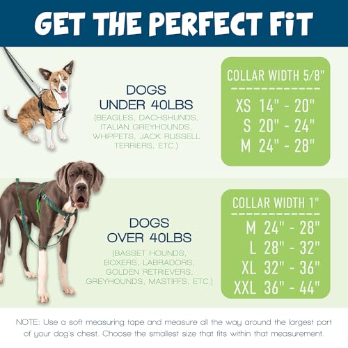 2 Hounds Design Freedom No Pull Dog Harness, Adjustable Harness, Easy Walking & Comfortable Control, Fits Small, Medium & Large Dogs, Solid Colors, Made in USA, 1" LG, Red