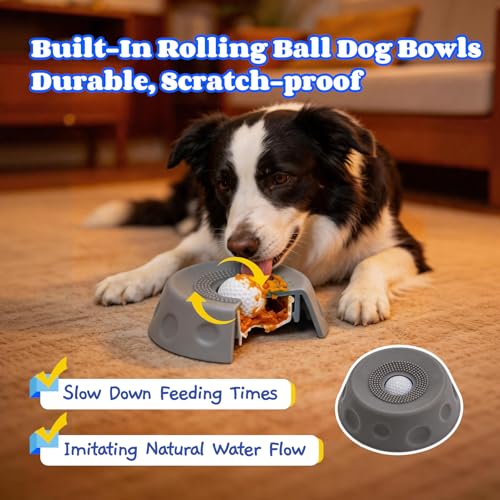 Dog Lick Bowl with Ball, Slow Feeder Lick Ball Bowl for Dogs, Dog Licking Bowl with Rolling Ball, Slow Feeder Ball Bowl to Slow Pet Eating, Rolling Ball Dog Bowl Give Pet More Time to Enjoy Eating